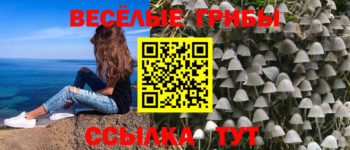 Псилоцибиновые грибы мицелий Ейск